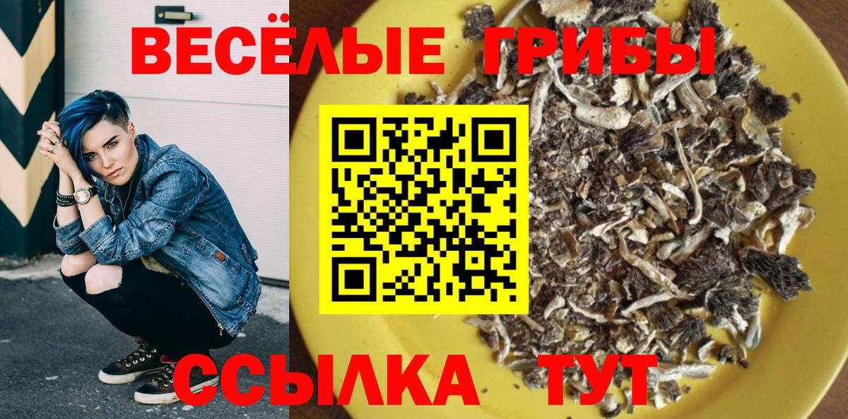 Галлюциногенные грибы Magic Shrooms  Вход с VPN  Алушта  Галлюциногенные грибы Psilocybine cubensis 