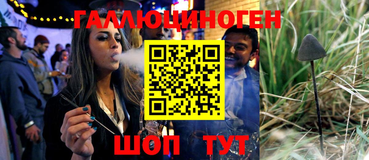 Галлюциногенные грибы Psilocybine cubensis Алушта