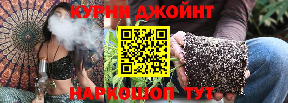 МАРИХУАНА семена  Канабис планчик  Конопля конопля  Вход с VPN  Алушта  Каннабис ГИДРОПОН 